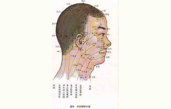 头面部腧穴